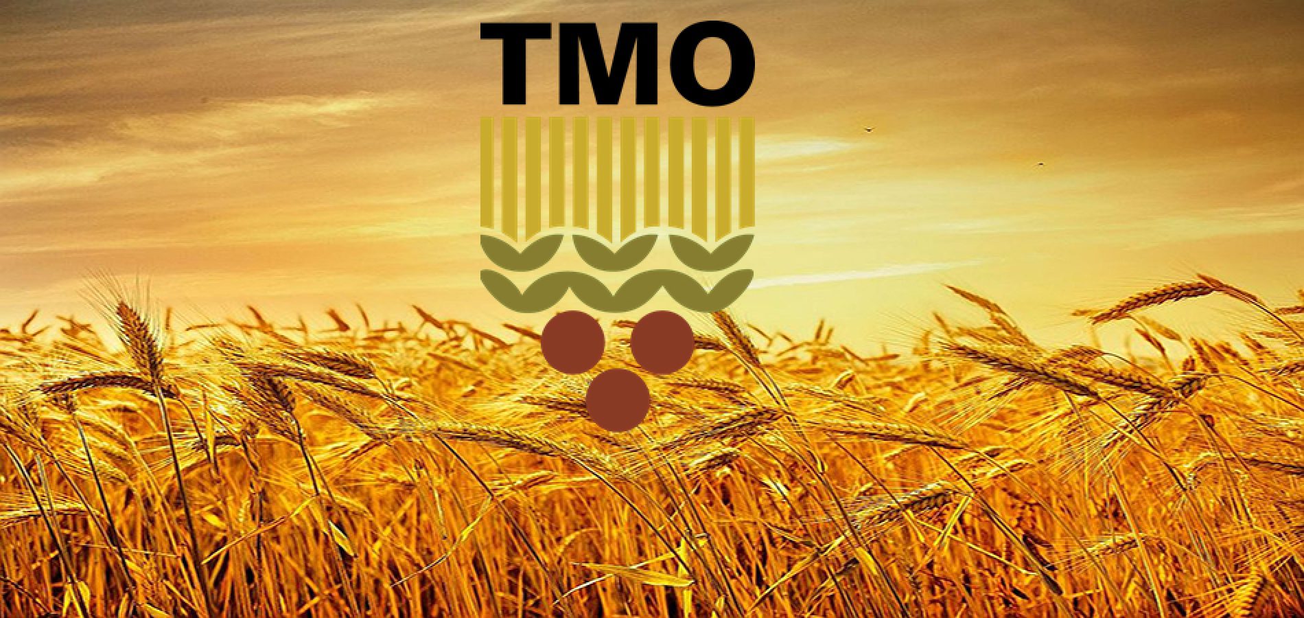 TMO Arpa ve Mısır Satışı