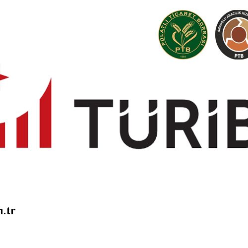 TÜRİB FAALİYETE BAŞLADI.