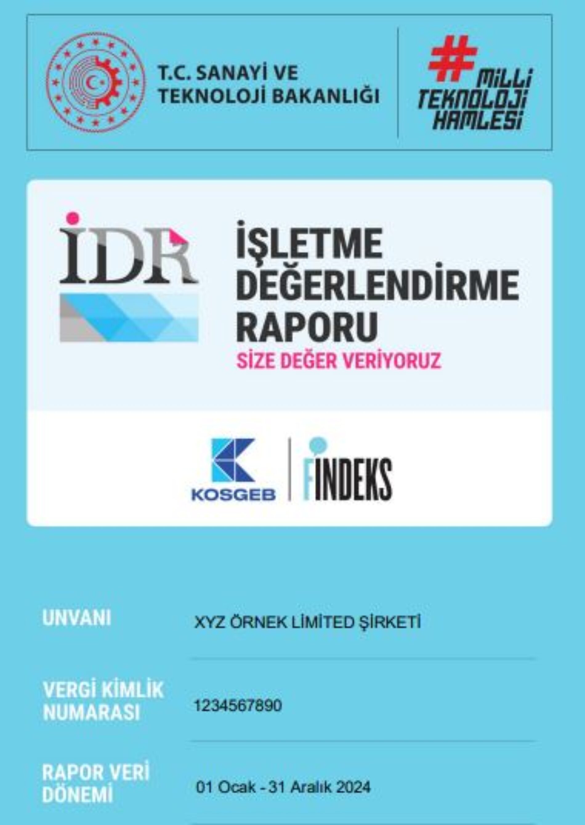 2020-2024 Dönemi Verilerini İçeren KOSGEB İşletme Değerlendirme Raporu