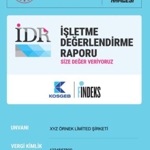 2020-2024 Dönemi Verilerini İçeren KOSGEB İşletme Değerlendirme Raporu